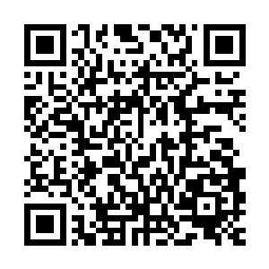 龙傲天看到对方手中的东西之后只是微微一愣随即就收回了目光二维码生成