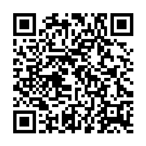 龙傲天眼前的这道冰幕随着仙尊仙力减弱冰棱也慢慢地消失二维码生成