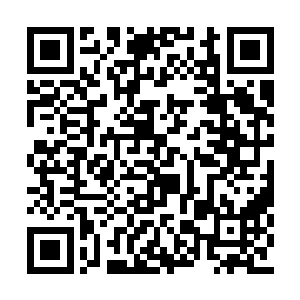 龙傲天眼神坚定地应了一声便去接白静和嫣然了二维码生成