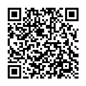 龙傲天瞬间只感觉自己进入到了一种无比诡异的玄妙的状态之中二维码生成