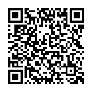 龙傲天神识往那边一扫顿时就发现了对方的虚实二维码生成