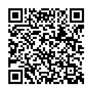 龙傲天等被雇佣的人此时也纷纷的集合到了一起二维码生成