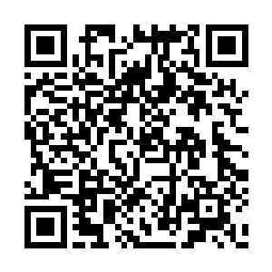 龙傲天能再次见到菲利普斯心中也是十分的激动二维码生成