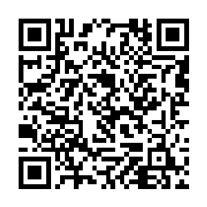龙傲天见到大长老神态充满了真诚之后也是微微一愣二维码生成
