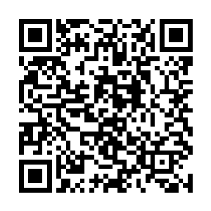 龙傲天见到对方的动作之后脸上也是闪过了一丝不屑二维码生成