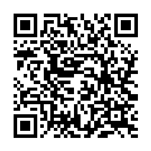 龙傲天见到对方的攻击之后眼神中闪过了一丝嘲讽的神二维码生成
