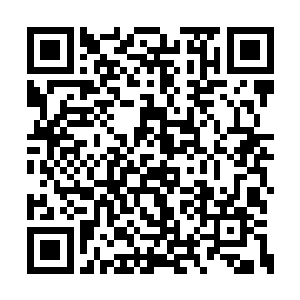 龙傲天见到对方的表现之后倒也没有太过于意外二维码生成