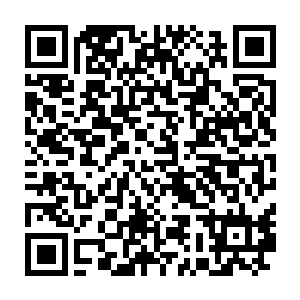 龙傲天见到小孩子的样子顿时也开始想到到底应该送什么东西给他二维码生成