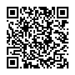 龙傲天见到龙天行的样子之后也理解龙天行的表现二维码生成