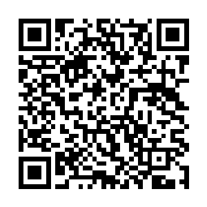 龙傲天见状顿时也将目光放到了龙天麟几个人的身上二维码生成