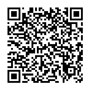 龙傲天识海中的轮回塔瞬间发出了一道光芒将龙傲天的灵hun笼罩了起来二维码生成