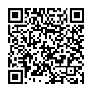 龙傲天跟木云婷绝大多数的时间也全都留在了天丹宗内二维码生成