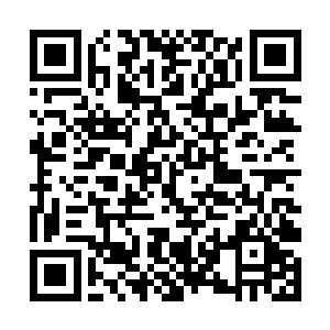 龙傲天跟龙族还有魔兽森林之间绝对有着紧密的关系二维码生成