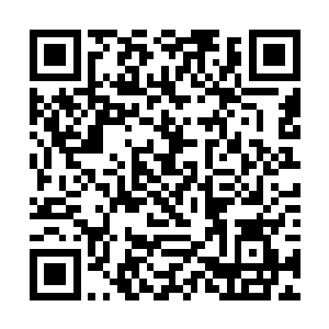 龙傲天身上有破禁珠就已经令他十分的羡慕和震惊了二维码生成