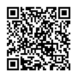 龙傲天身上的法宝让他们心中也是升起了不可遏止的贪婪二维码生成