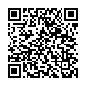 龙傲天转身准备去找白静和嫣然突然想到了什么似的二维码生成