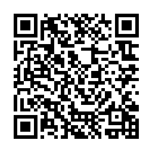 龙傲天这么做显然在他看来简直跟找死没有什么区别二维码生成