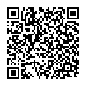 龙傲天这才彻底的将藏宝库九层的所有的宝物全都收进了自己的腰包之中二维码生成