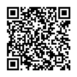 龙傲天退远了之后很快就注意到了血天使的动作二维码生成