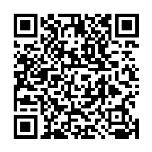 龙元丹一入口就化成一股磅礴的能量注入唐铮的奇经八脉二维码生成