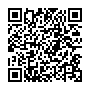 龙刑天从筑基期第十一层初期突破到筑基期第十二层初期二维码生成