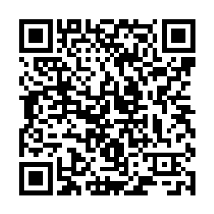 龙加一些重要的人物全都在老祖亲自运功之下解了毒二维码生成