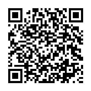 龙千丈明明知道我是代表着你过去的还指使他的徒弟出手打人二维码生成