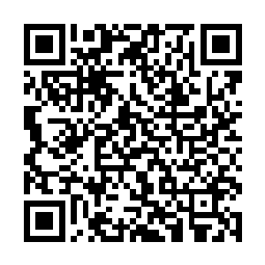 龙古风和狼狈飞回来的龙傲天将手紧紧地握成了拳头二维码生成