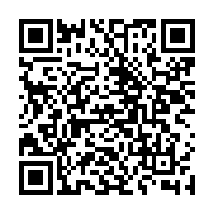 龙墟界域大地深处会孕育出一些神秘的具有灵性的东西二维码生成