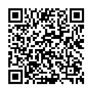 龙天漪又通过落地窗看了身后餐桌上的男人一眼二维码生成