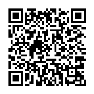 龙天蛇在龙皇亲传弟子考核过后的修行并不顺利二维码生成