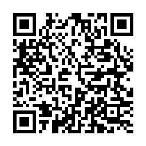 龙天行入座之后所有的龙家人顿时对着龙天行行了一个大礼二维码生成