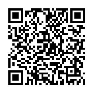 龙天锦和三公子八妹三人则替沈千寻捏了一把汗二维码生成