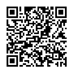 龙天阙轻轻安抚的拍着龙天漪气的上下起伏的小背二维码生成