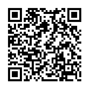 龙宇同时还注意到了那些血眸的主人到底是什么二维码生成