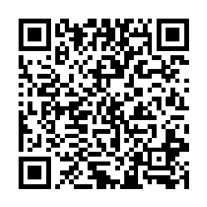 龙宇有些不解的看着那在黑暗里不断摇曳的血色兽瞳二维码生成