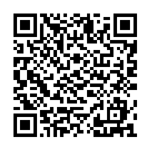 龙宇现在倒是将这支军队的一些问题给看明白了二维码生成