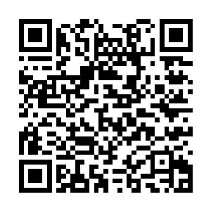 龙家为了不让那个预言实现应该不遗余力铲除妖孽二维码生成