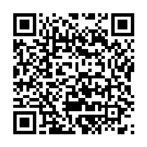 龙家要是想要继续发展壮大的话那就必须建立自己的门派二维码生成