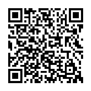 龙家还有东方家的几个女人都跟在他们的队伍中二维码生成