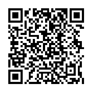 龙幻那老家伙是不是真的不愿意让主人您进去了二维码生成