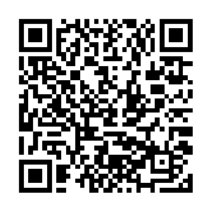 龙幼萱绝对不相信莫小鱼和这个小姑娘在包厢里没事二维码生成