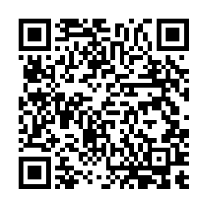 龙弦从来没有像现在这样觉得自己的儿子是个无可救药的二维码生成