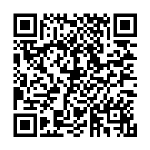 龙弦还有睿等人带着那两个前火狐族的人出去找飞星和银冰二维码生成