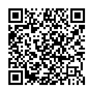 龙战不管是在力量和技巧还有猎杀经验上都比眼前的人强二维码生成