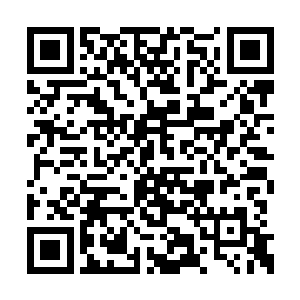 龙战他们想要离开的事情在部落引起很大的波动二维码生成