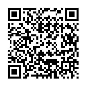 龙战伸手按了按她在火光下好像涂了一层蜜一般的粉嘟嘟的唇二维码生成