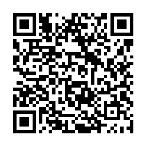 龙战做为族长特别强调要跟族里所有人分配的一样多二维码生成