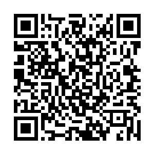 龙战做决定把狩猎队伍的人拨一部分过来帮忙盖房子二维码生成