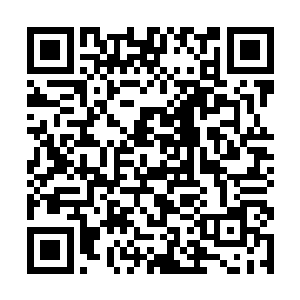 龙战在强风雪的袭击下转过头向部落的方向看了一眼二维码生成